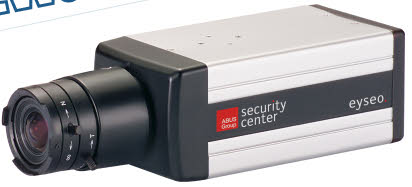 Eyseo Ecoline standaard zwart-wit, 12V, 600TVL